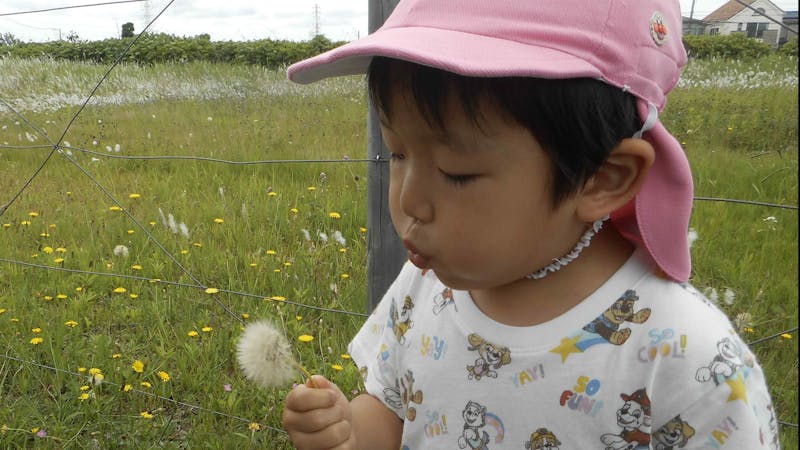 サクラフェリーチェ保育園の保育理念・方針