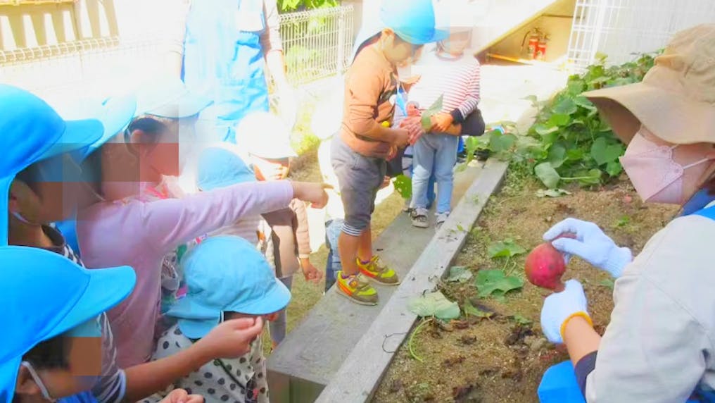 ★畑で季節ごとの野菜を育てています★