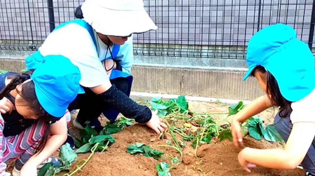 畑から学ぶ、たくさんの発見