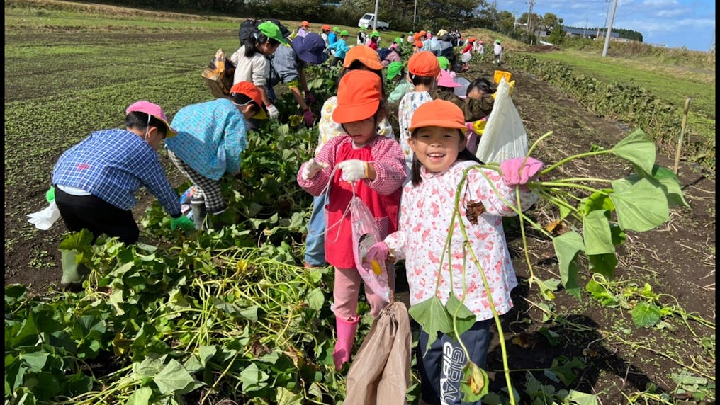 広い自園の畑あります