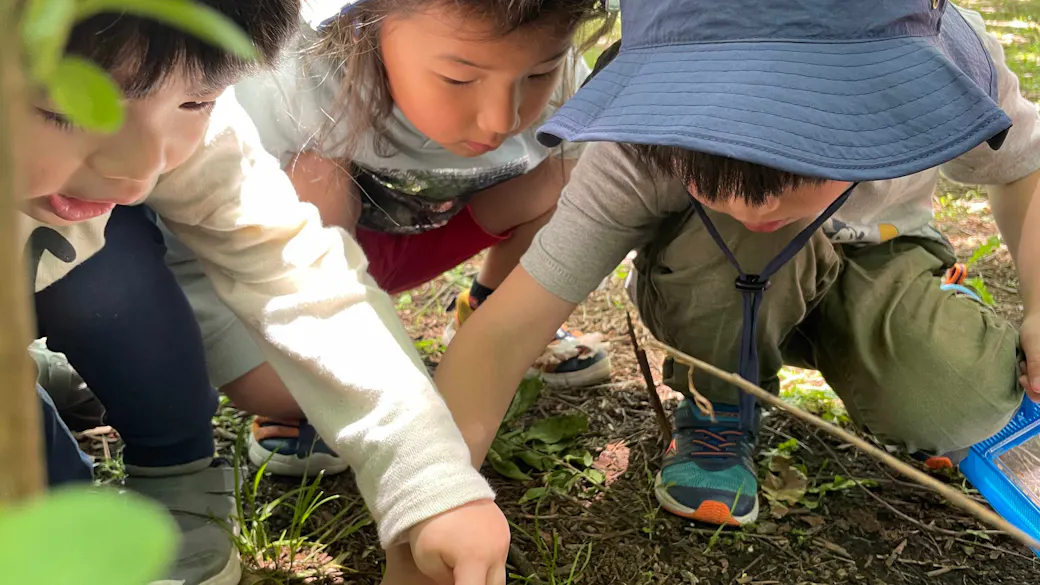 遊び込む毎日が、生きる力を育てる。