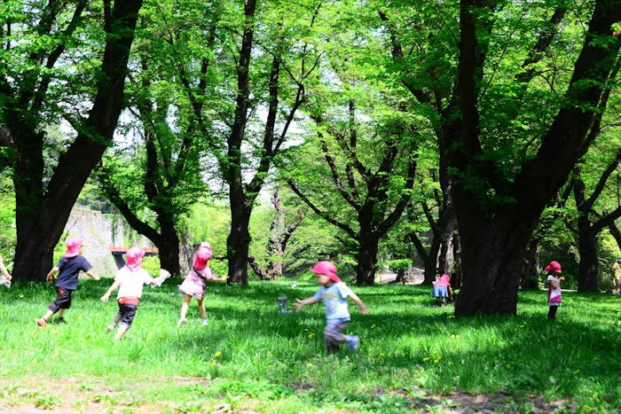 周辺には緑豊かな公園や子ども達が楽しめる公園があります。