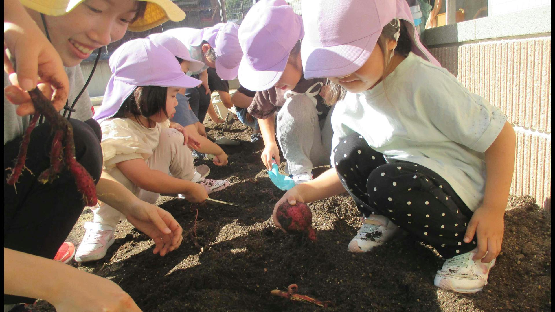 産休代替職員を募集しています