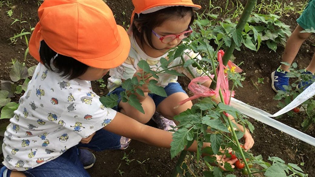 園内の畑で、食の大切さを学ぶ