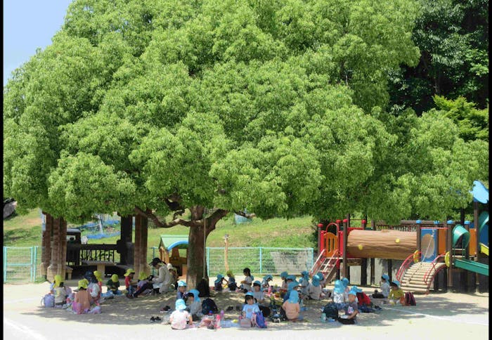 若竹保育園
