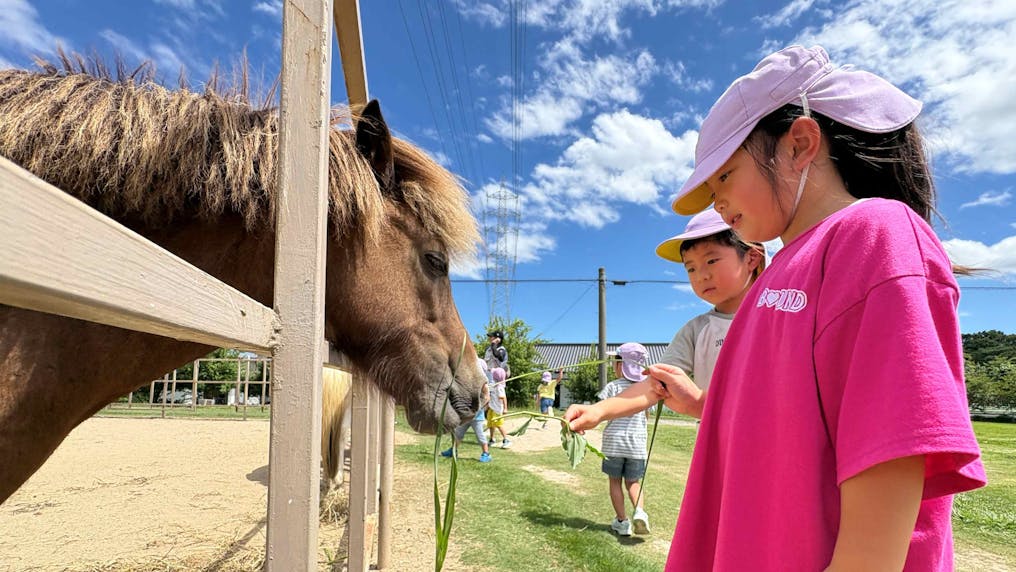 動物との触れ合いも楽しみの一つ！