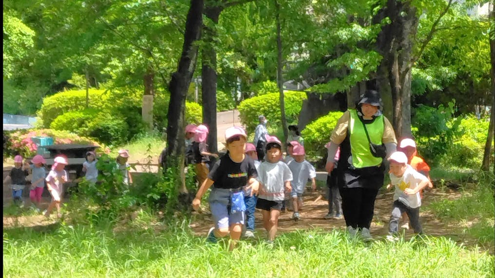 自然豊かな環境