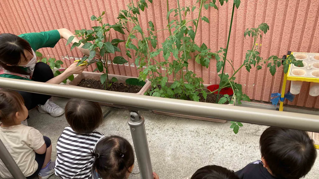 食育―食に興味を持ち、食べることを楽しむ子ども