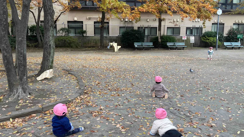 身近な地域の公園で四季を感じます