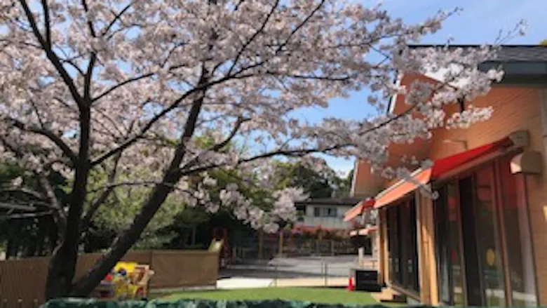 自然豊かな環境の中で保育教育が出来る職場です。