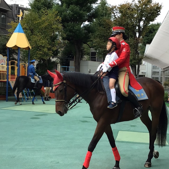 交通安全指導に「お馬のおまわりさん」がやってきた！