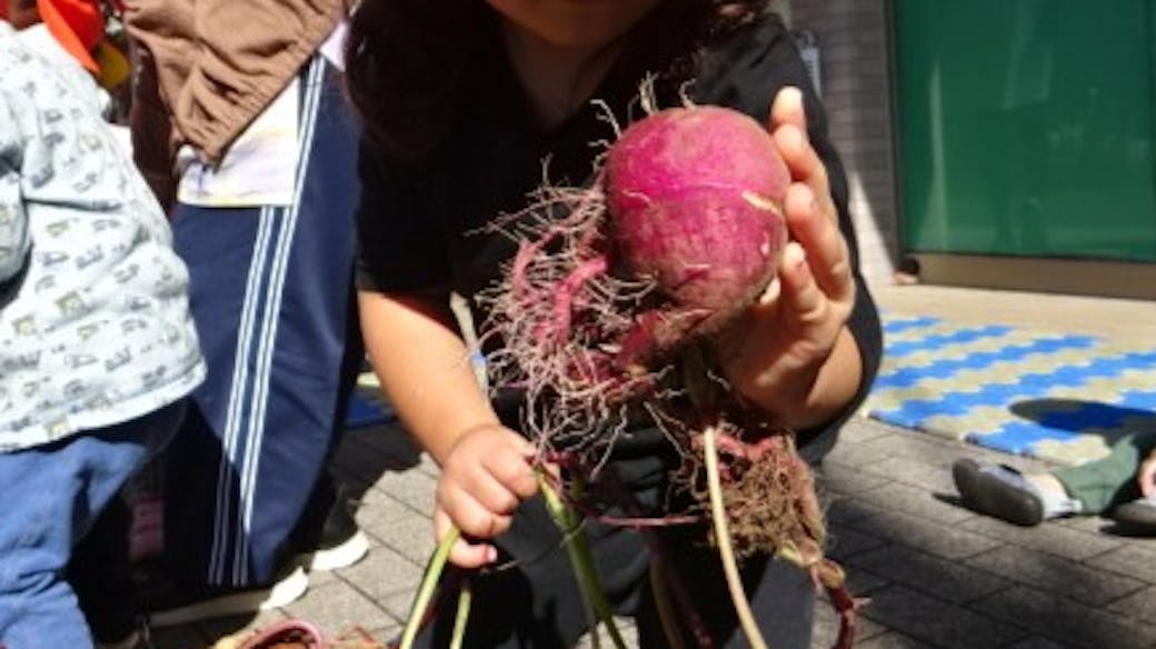 食への興味関心を高める