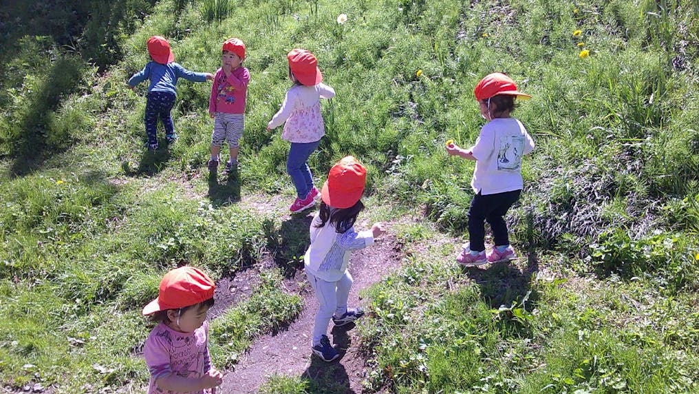 お庭で山登り