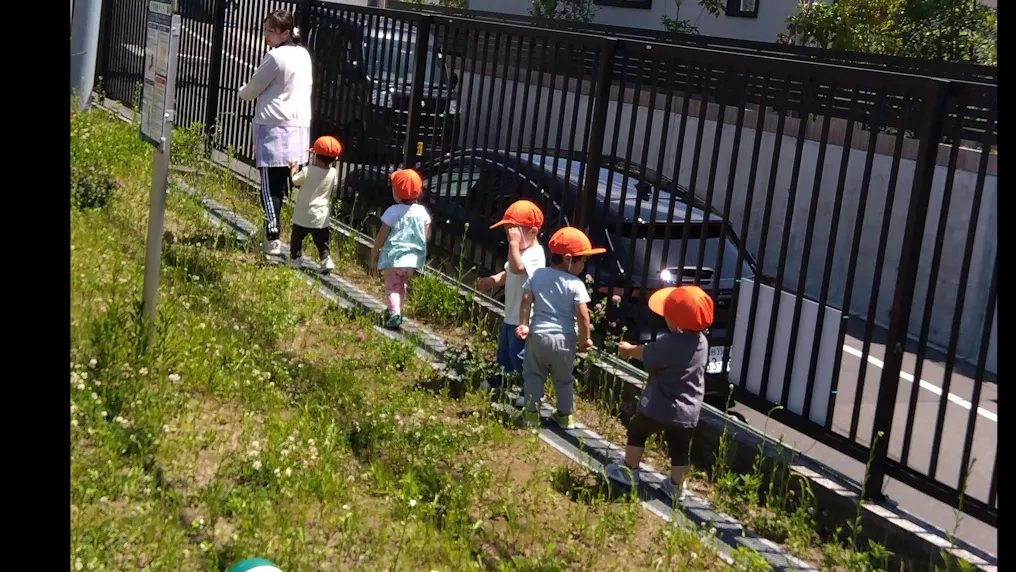 お散歩
