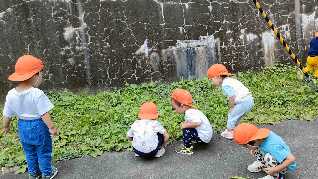 保育園前のお庭