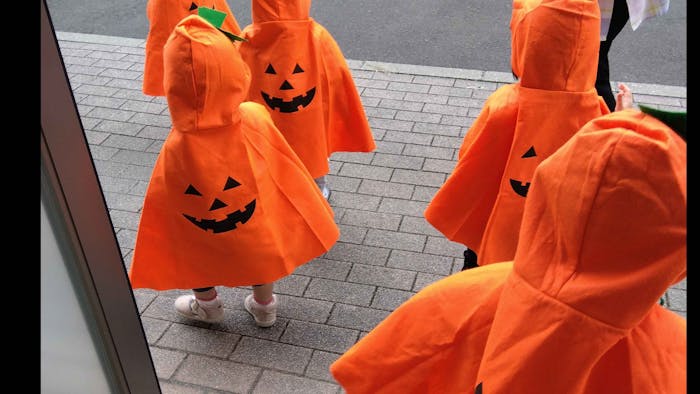 ココカラ荒巻の保育理念・方針