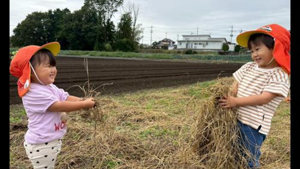 保育園周辺は自然豊かで、楽しいお散歩コースがたくさん！