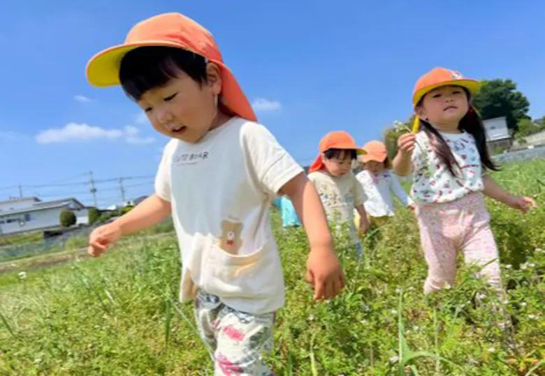 ココカラ上桑島