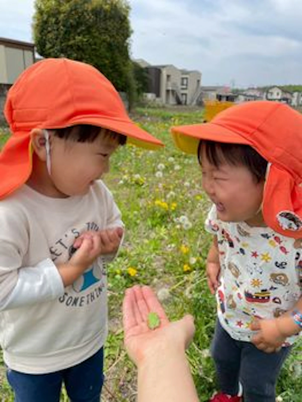 LINE_ALBUM_うさぎ4月戸外_260501_33.jpg
