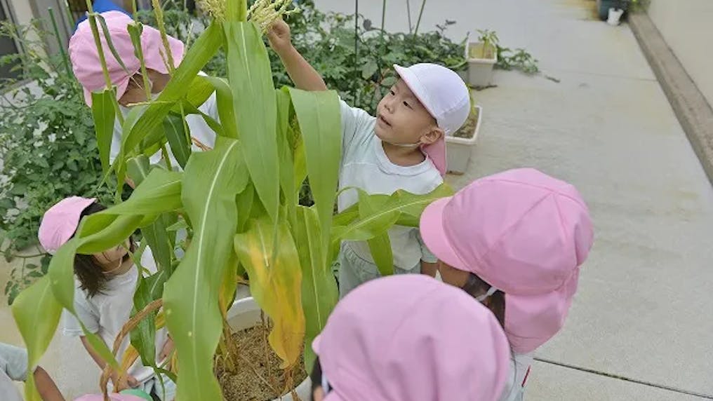 野菜とともに心が育つテラス