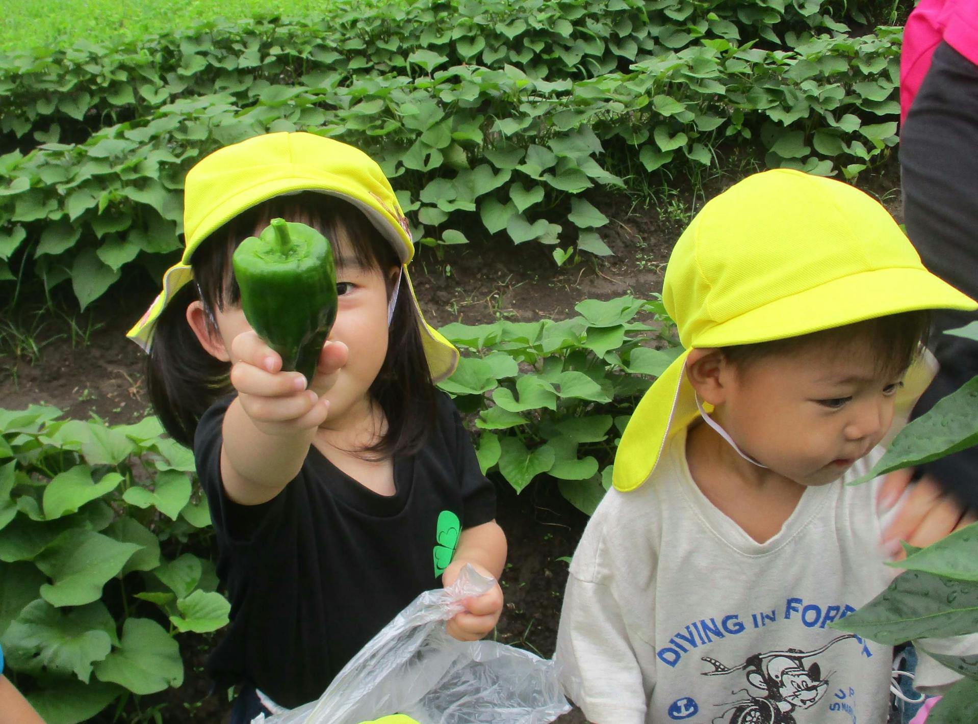 自然豊かな環境での保育☆急な休みも対応できる職場です！