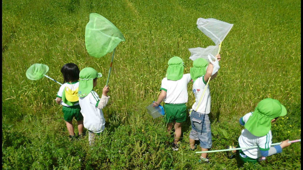 お散歩で自然を満喫！