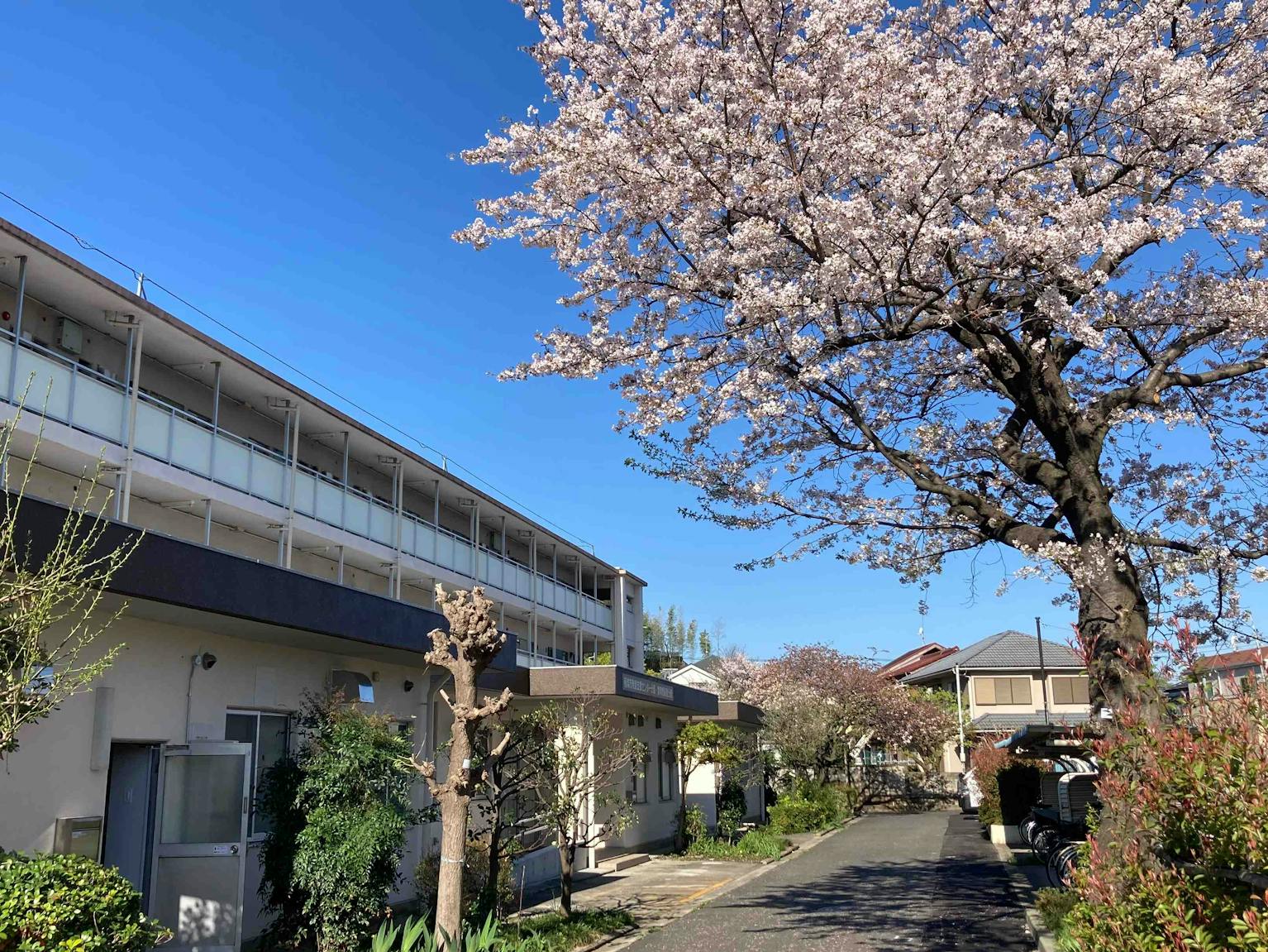 小規模で風通しよく、業務の分担もしっかりしています。