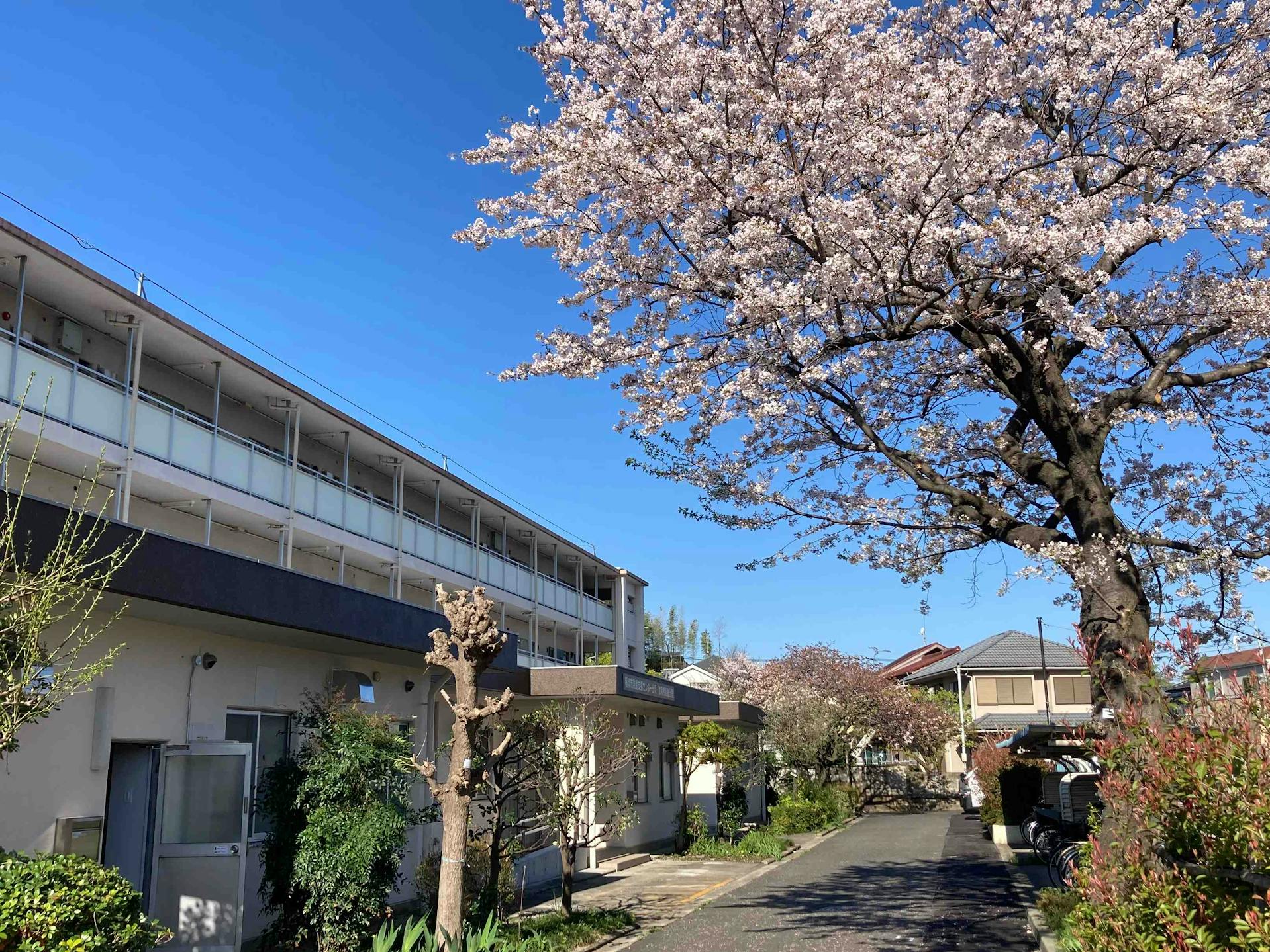 小規模で風通しよく、業務の分担もしっかりしています。