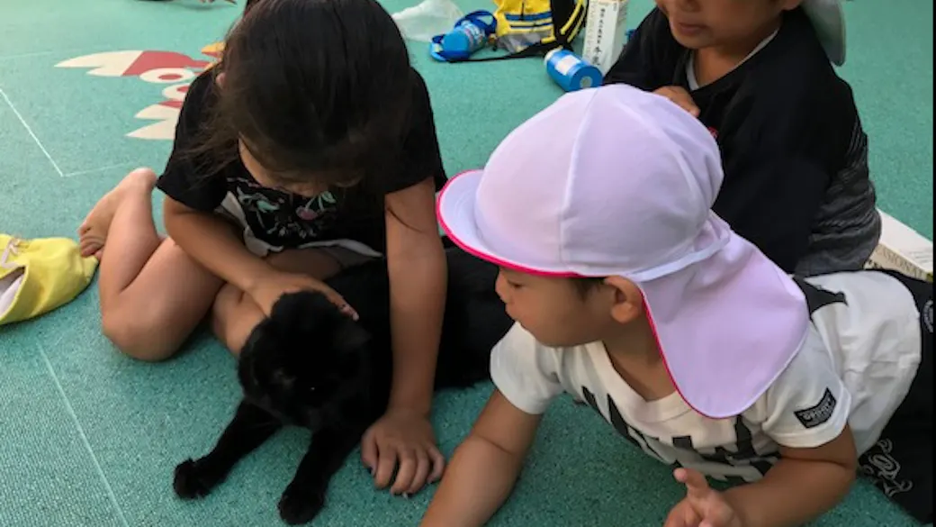 猫のミーミーも私達の仲間！！