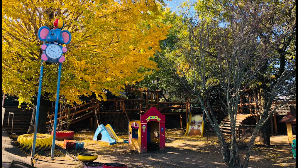 木製遊具のアスレチックで遊ぼう！