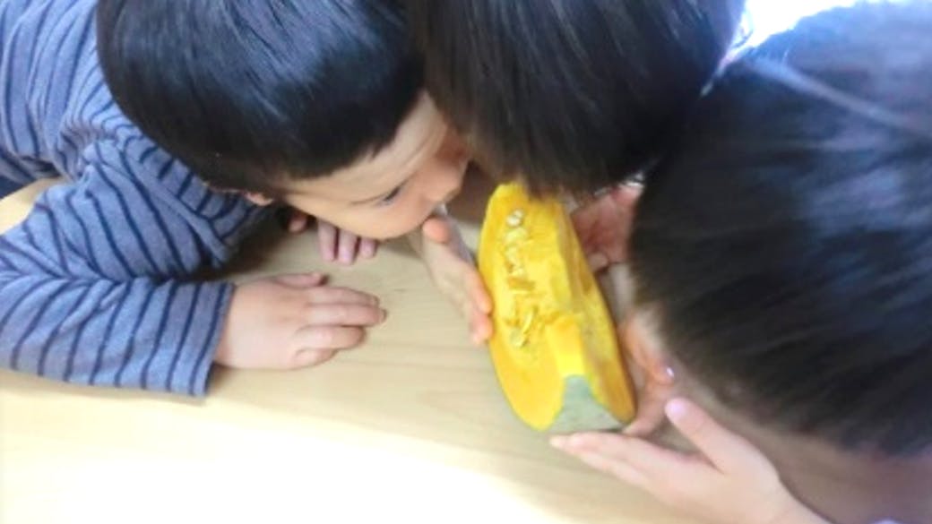 「食べる力」を育てる食育活動