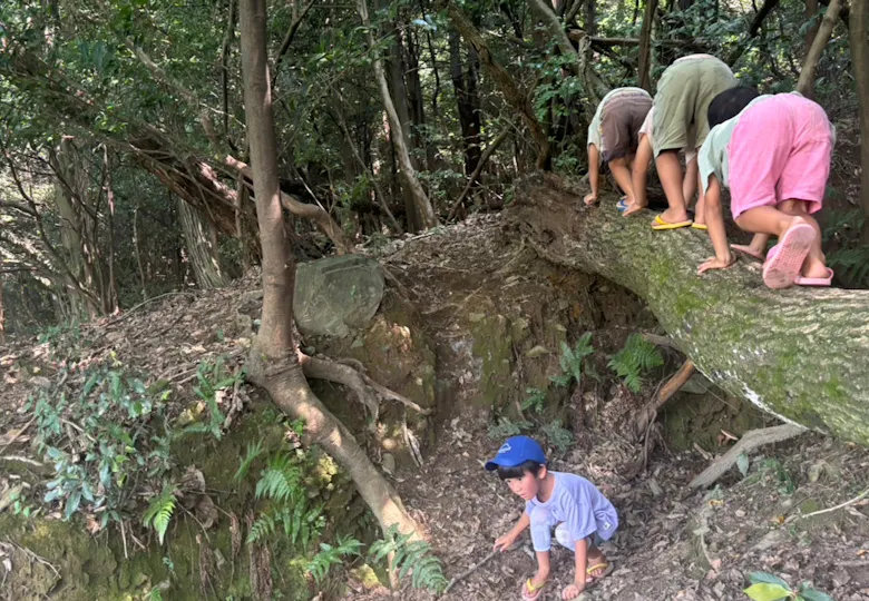 りす山の保育農園