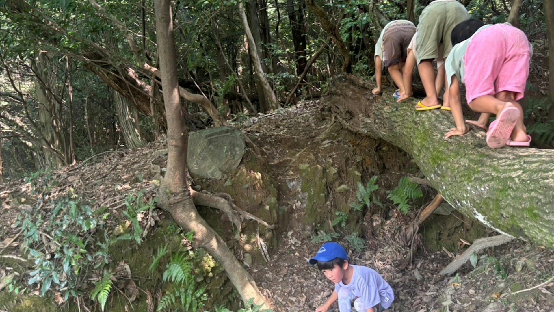 自分で食べる、自分で遊ぶ、自分で眠る。