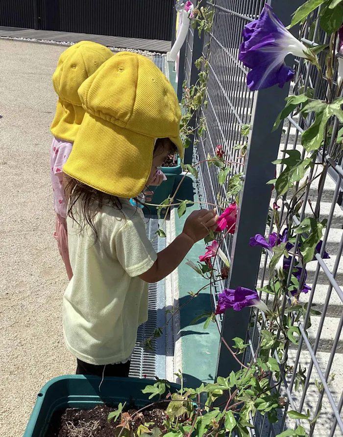 つたのは保育園