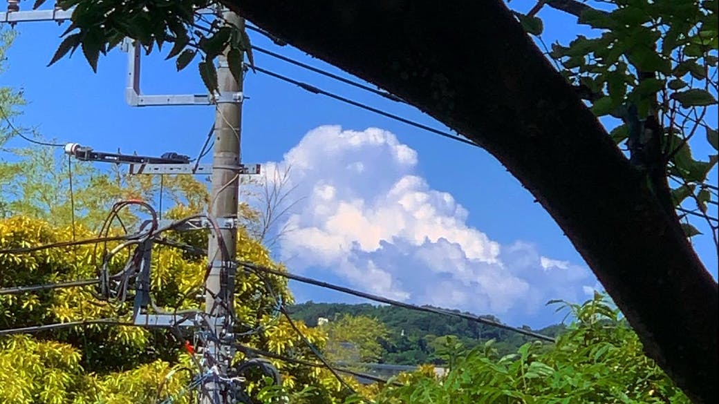 鎌倉の自然の中で