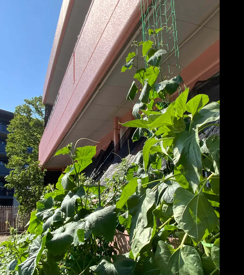 寺分保育園