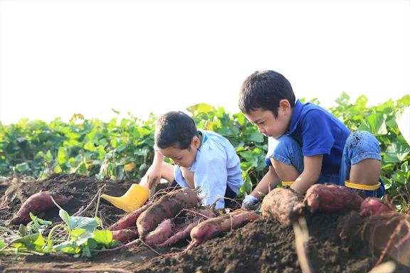 瑞穂幼稚園