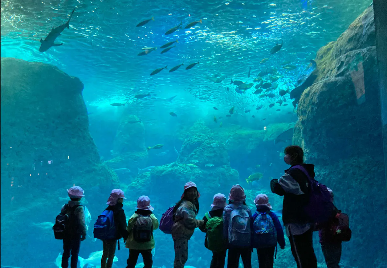 善行あにまる保育園