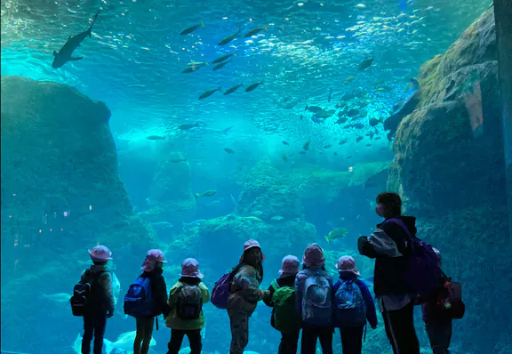 善行あにまる保育園