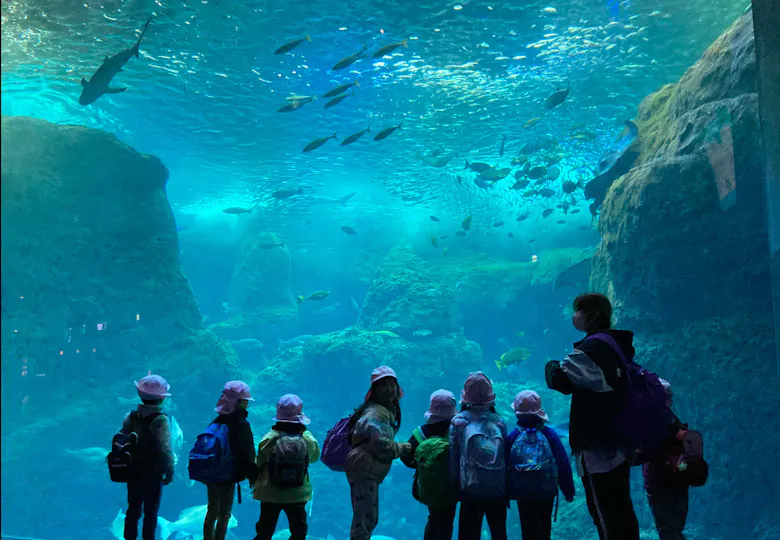 善行あにまる保育園