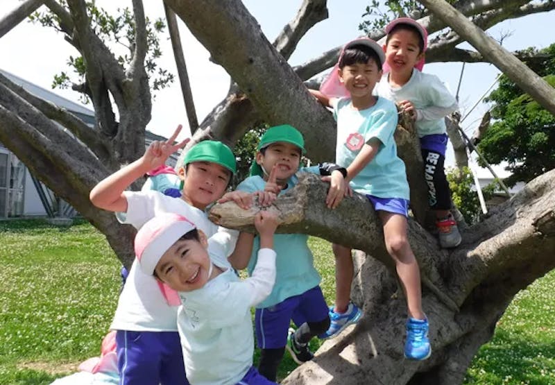幼保連携型認定こども園美ら夢の保育理念・方針