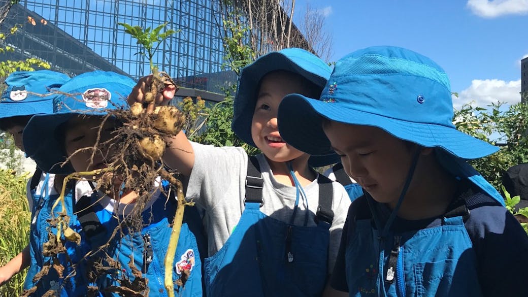 農園を利用した食育