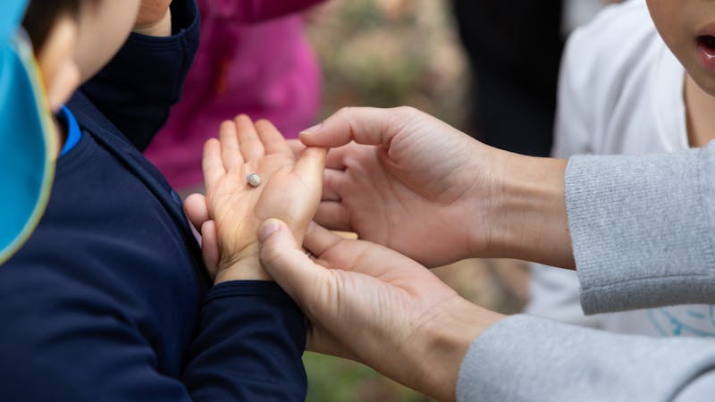 キッズラボ北海道ボールパークFビレッジ認定こども園の保育理念・方針