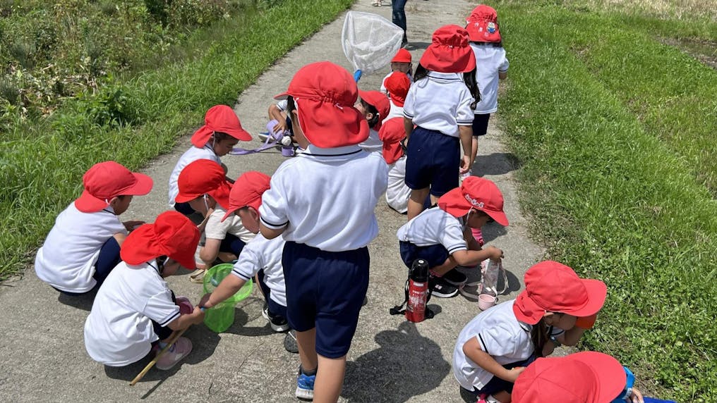 自然がいっぱい