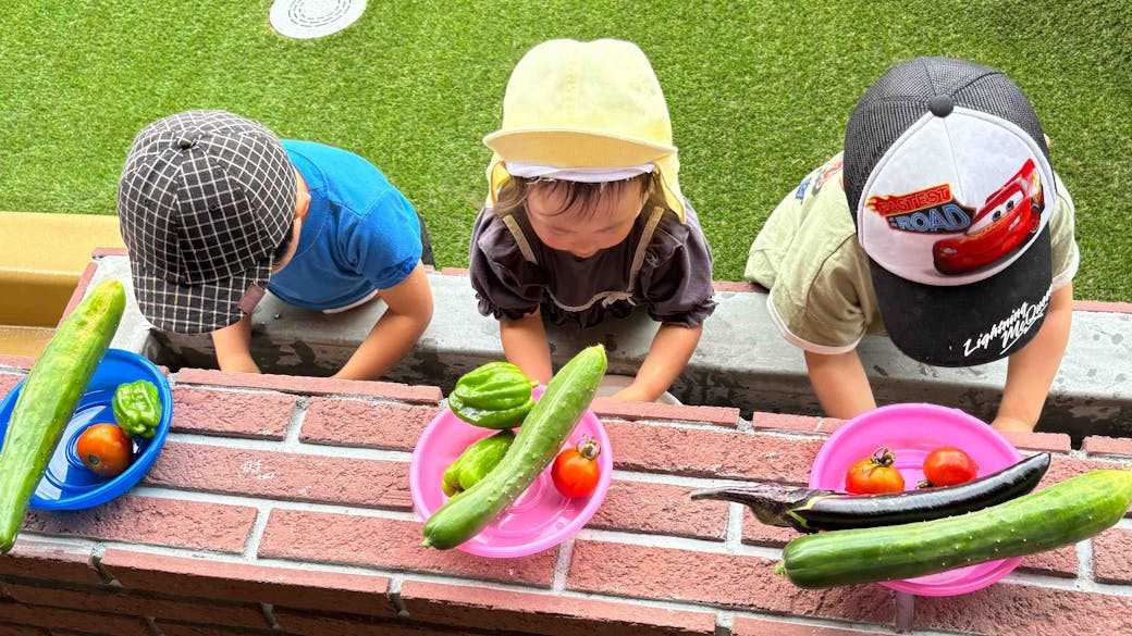 園内の畑で、食の大切さを学ぶ