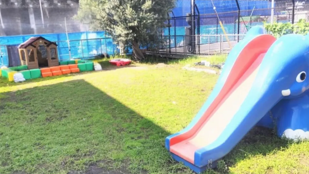 広々とした園庭