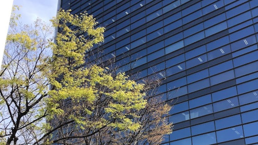 東神戸センタービル内