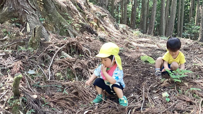 ベビーキンダーランドの保育理念・方針