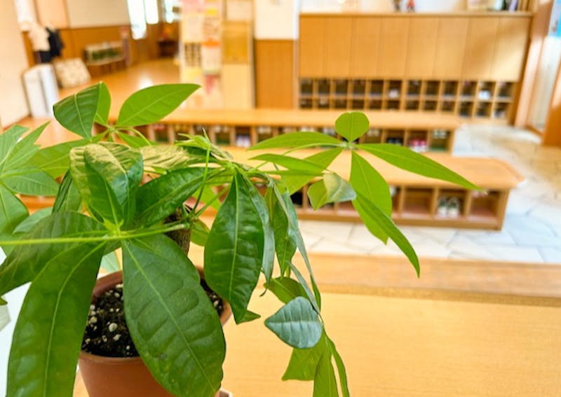 幼保連携型認定こども園姫路保育園の保育理念・方針