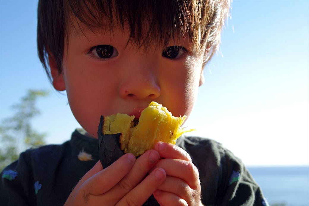 完全和食の給食